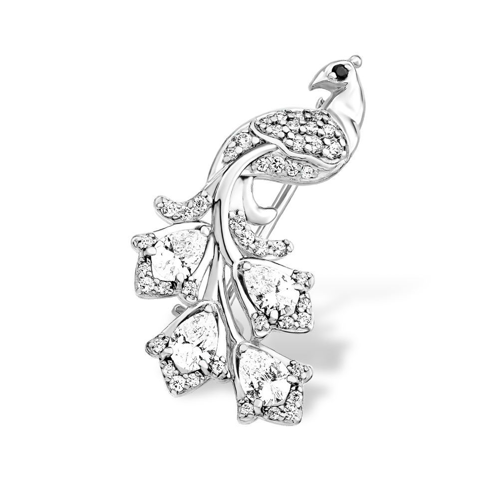 ����� �� ������� � ��������